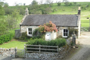 Honeysuckle Cottage Wark on Tyne